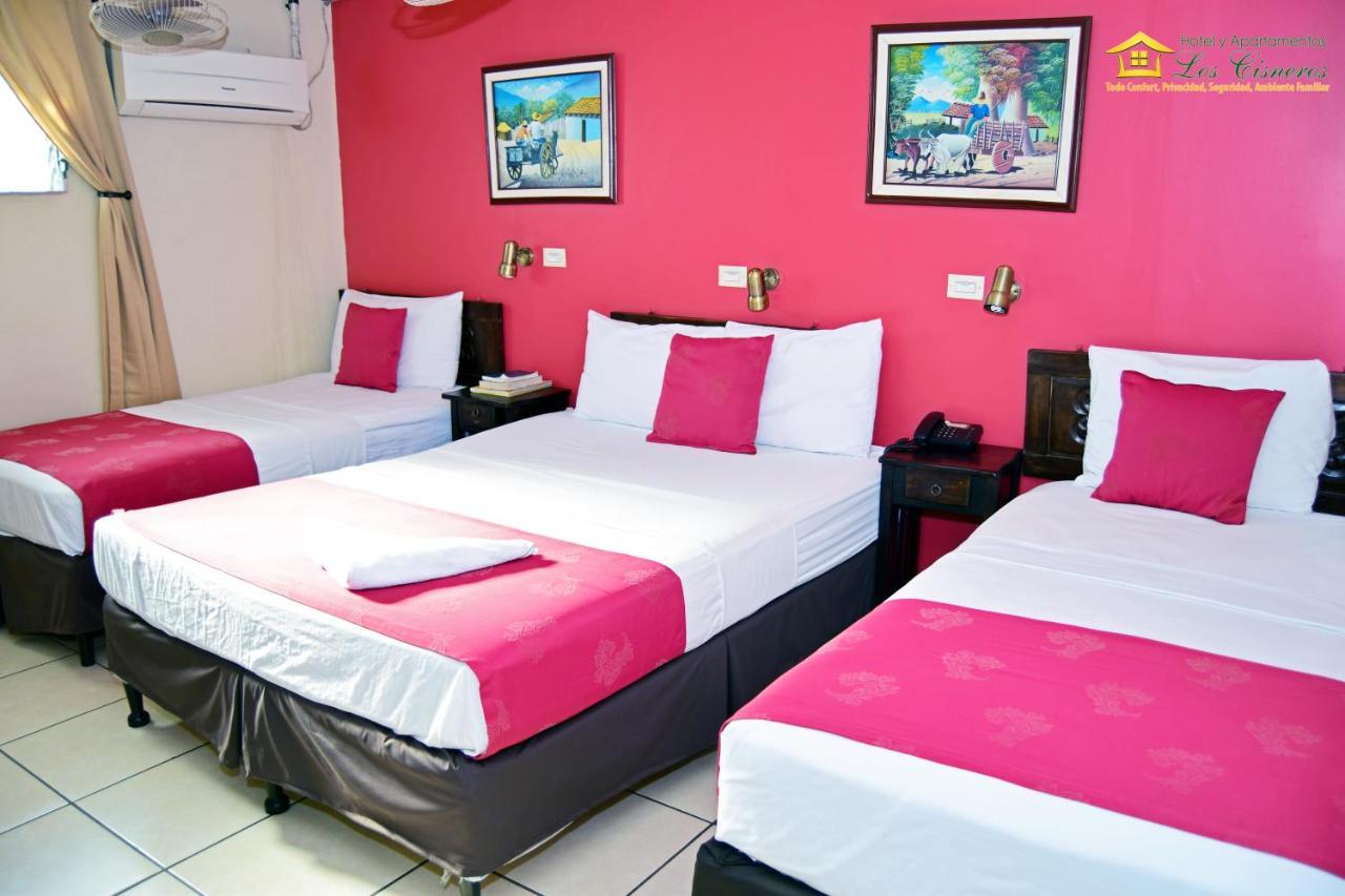 Hotel Y Apartments Los Cisneros ماناجوا المظهر الخارجي الصورة