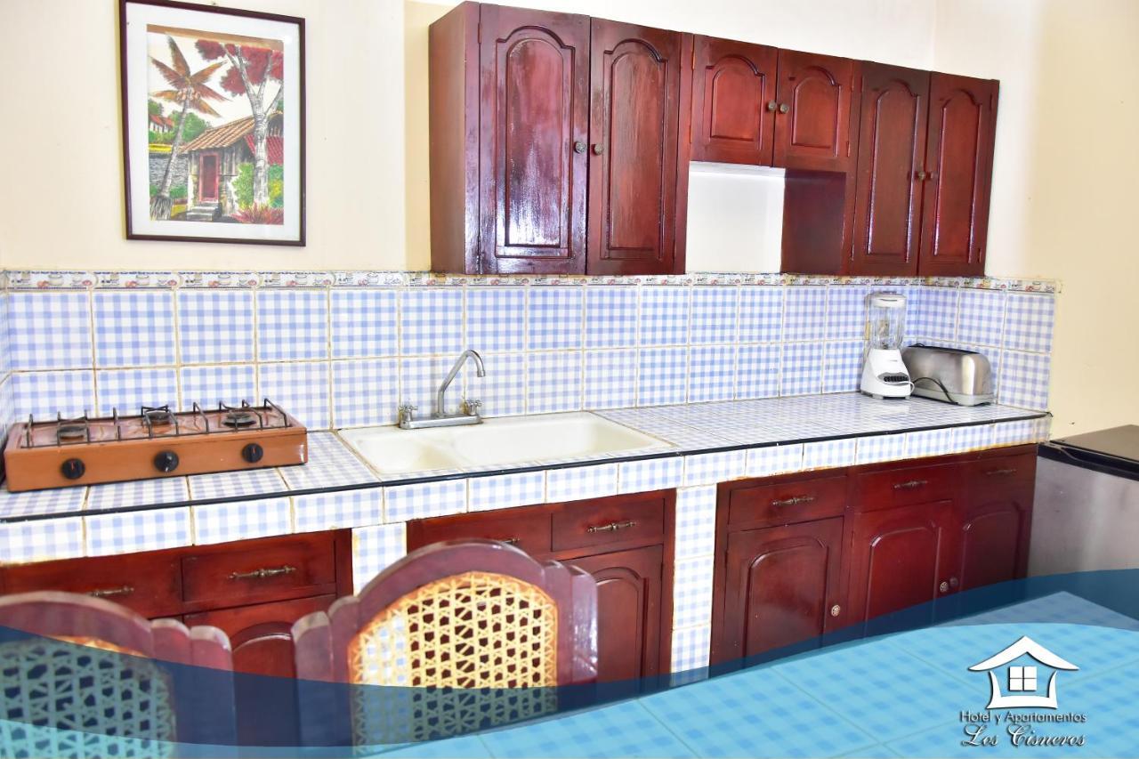 Hotel Y Apartments Los Cisneros ماناجوا المظهر الخارجي الصورة